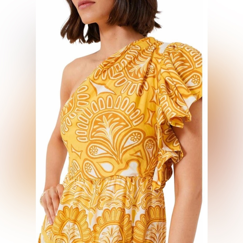 Farm Rio Ainika Tapestry One-Shoulder Maxi Dress Size XSMALL - Picture 4 of 16
